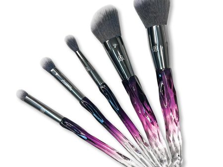 *Limited Edition* Purple Brush Set (5pc.) Online now