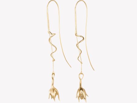 CLIMBING ROSE DROP EARRINGS For Cheap